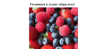 Готовимся к сезону сбора ягод